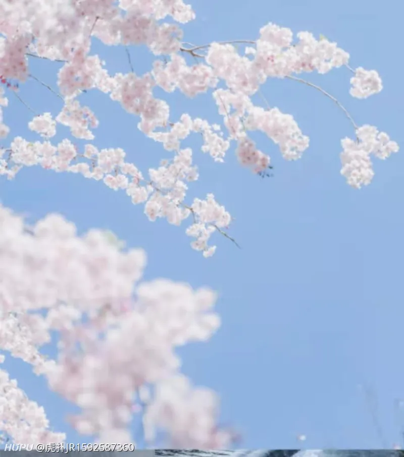 十二星座中花钱如流水的星座排行 步行街主干道 虎扑社区