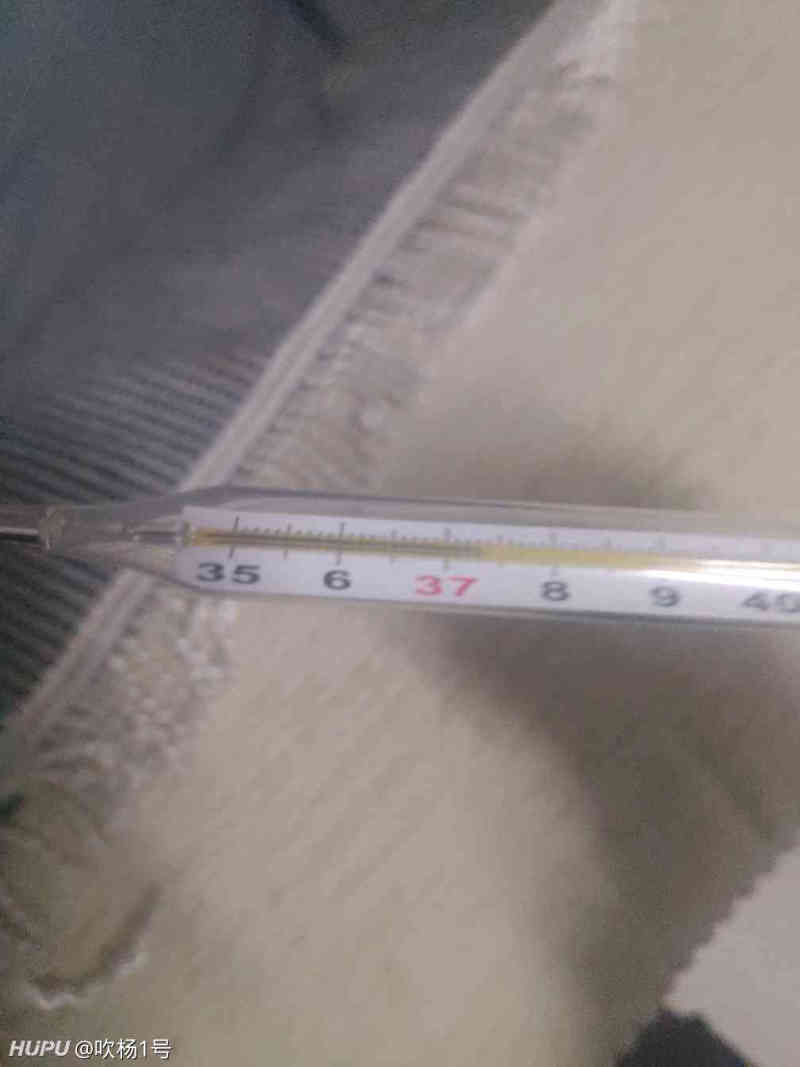 早上36 7 下午37 3是正常体温吗 虎扑
