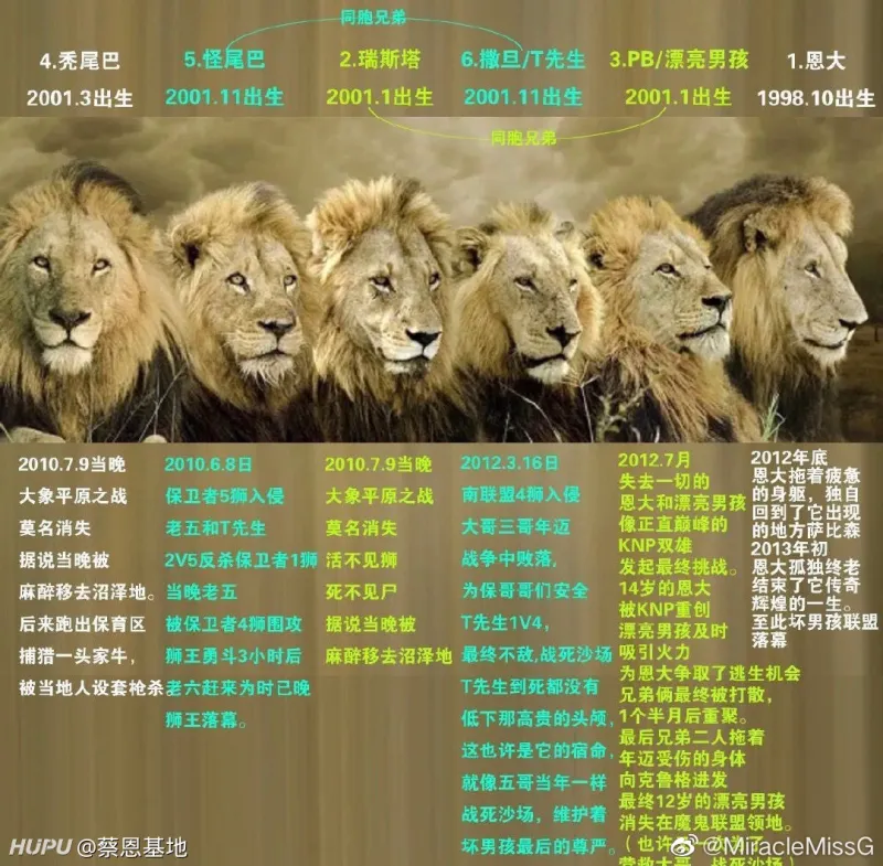 纪录片《坏男孩联盟:狮王之路》:花费16年跟踪见证传奇王朝崛起.