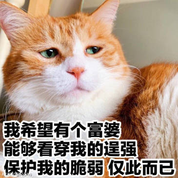 [虎扑神帖]男友视角下的迪丽热巴 什么水平?zt