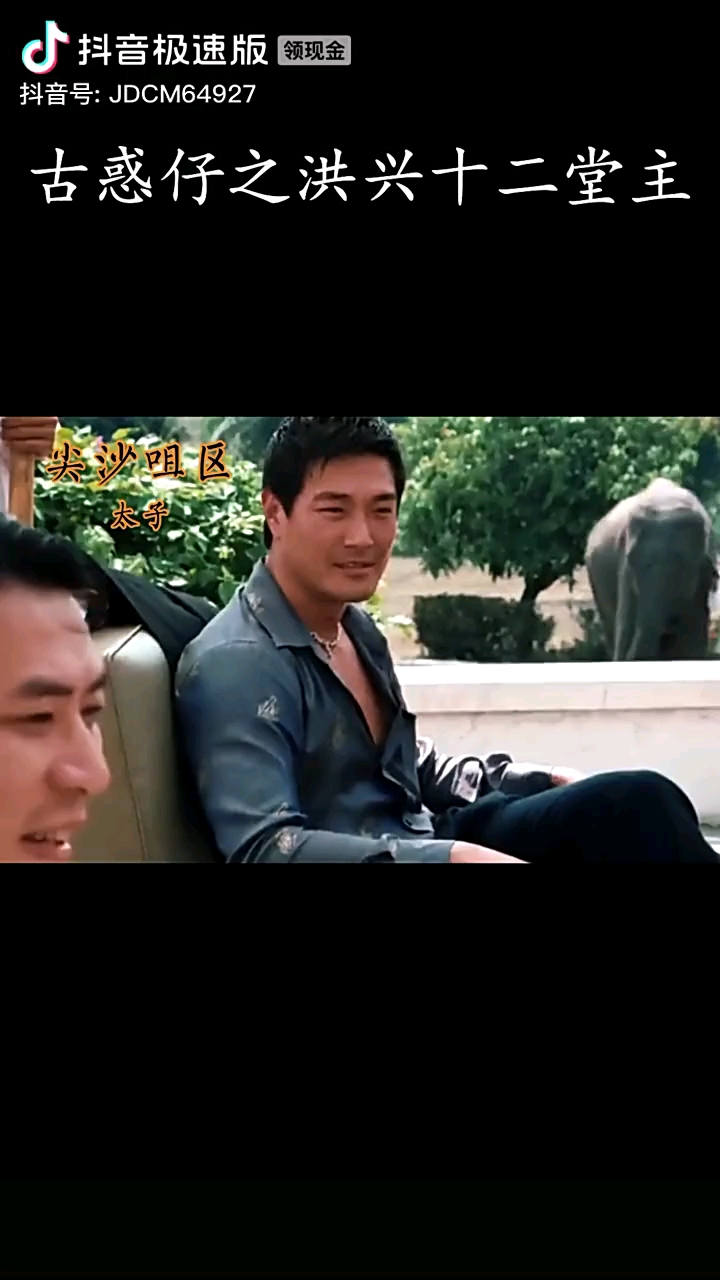 古惑仔之洪兴十二堂主