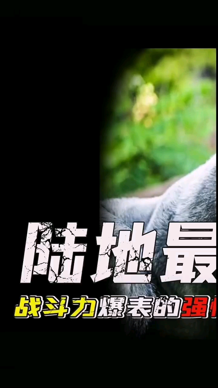 video-poster