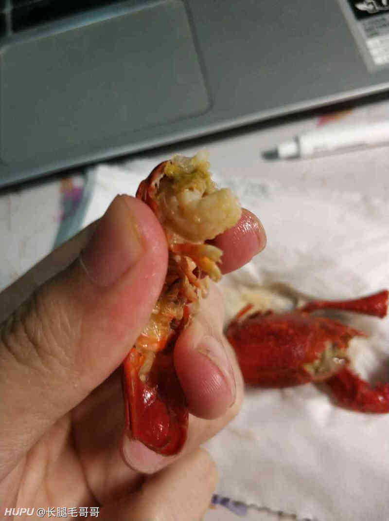 关于上次小龙虾虾线问题以及个人用法.