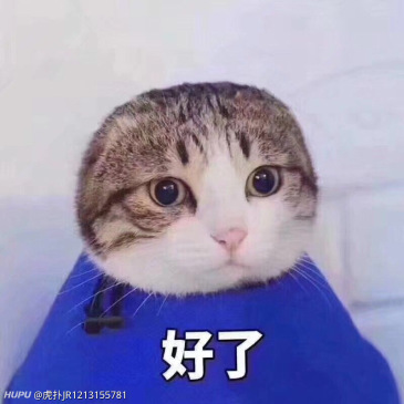 求猫理发15的那张无水印表情包