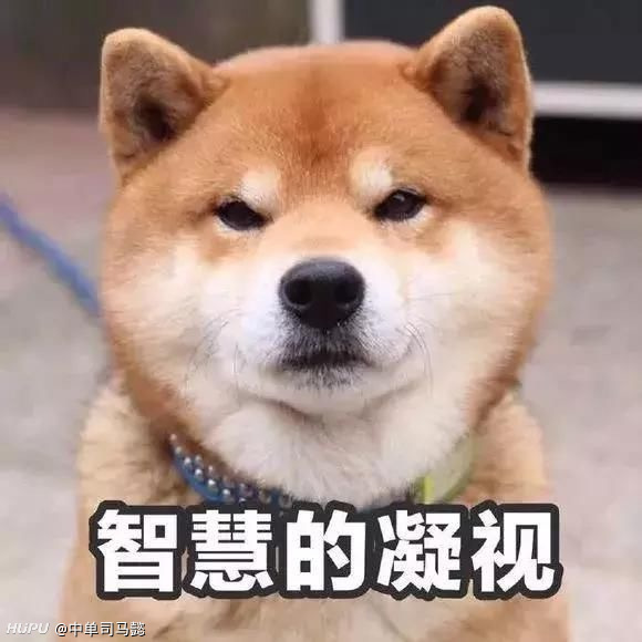 理性讨论 为什么周杰伦吴亦凡华晨宇李袁杰会标榜自己在做中国风 虎扑