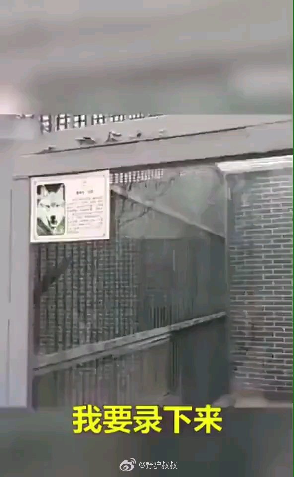 video-poster