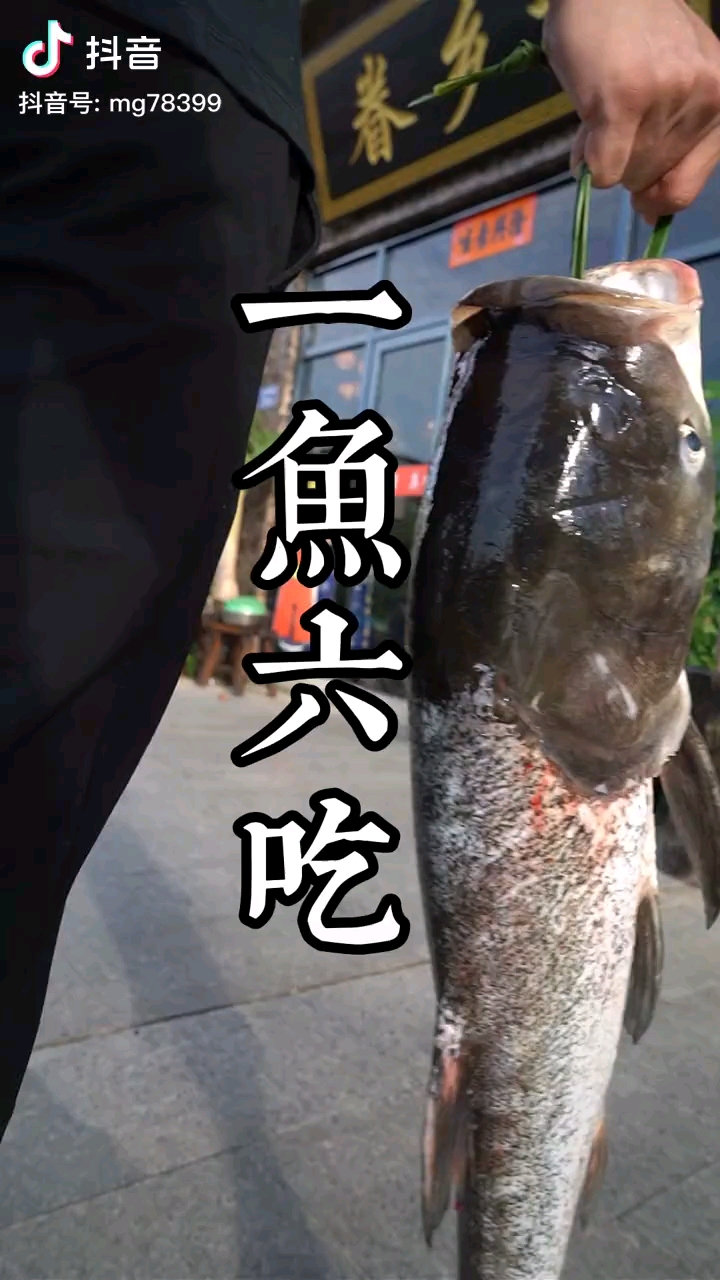 一鱼六吃