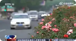女子捡到手机给扔了被判赔6000