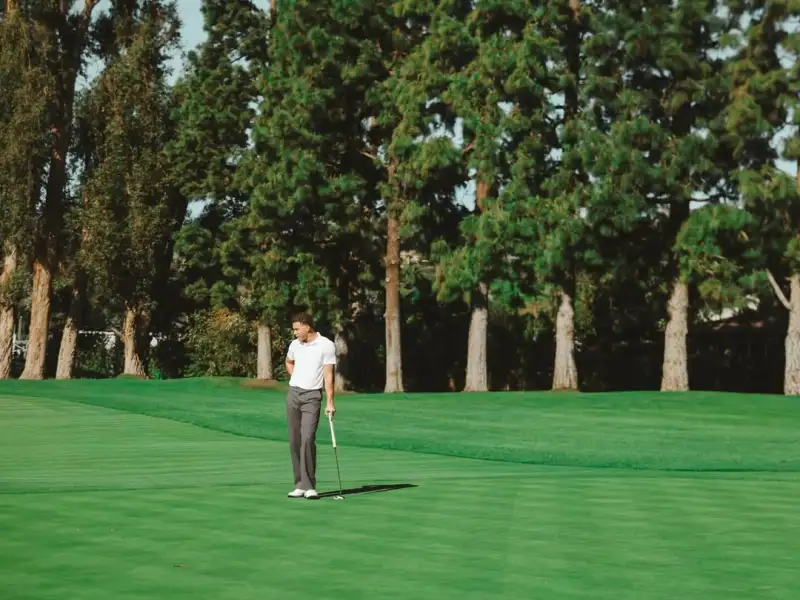 hth華體登錄入口