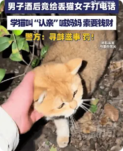 男子学猫叫认亲被处罚