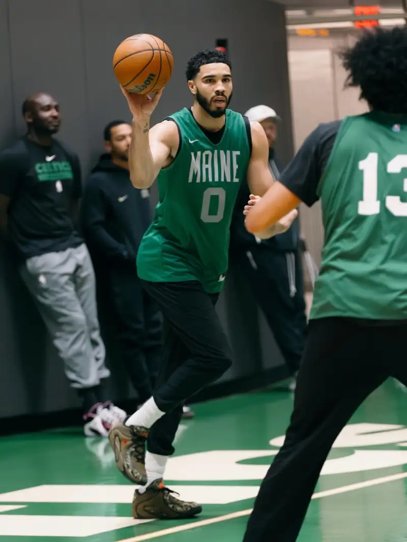 >kaiyun全站登錄網頁入口最新版