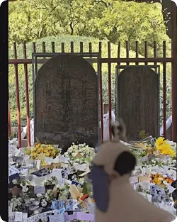 陕西诸葛武侯墓成鲜花海洋 独特祭拜方式引关注