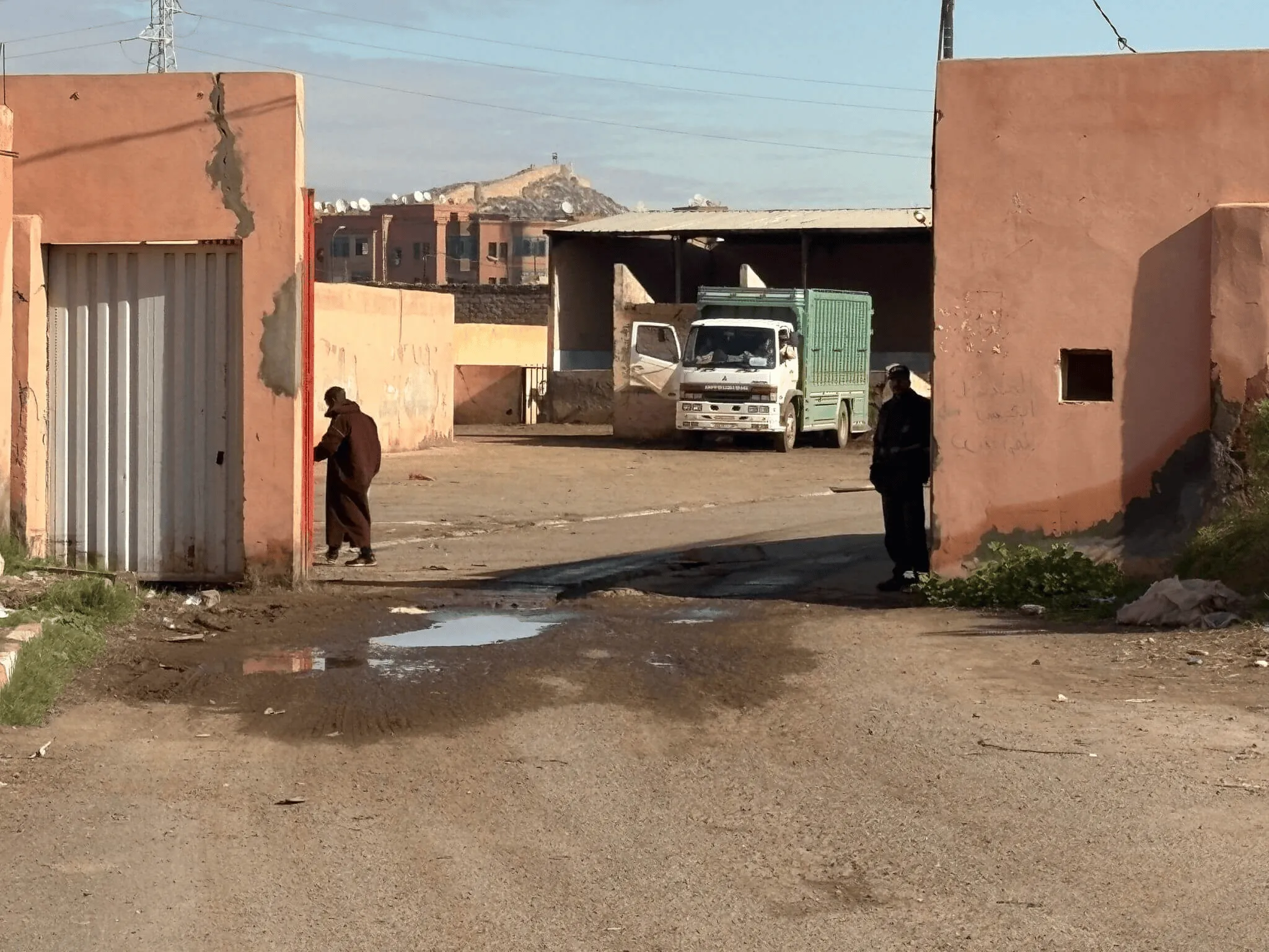 [流言板]摩洛哥為承辦足球活動(dòng)大肆違規(guī)撲殺動(dòng)物，很多都是家養(yǎng)寵物