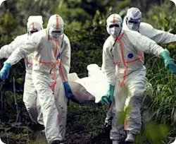[资讯]埃博拉病毒卷土重来、微塑料与肠癌存在关联>>