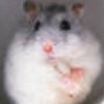 discusser-avatar