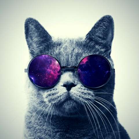 discusser-avatar