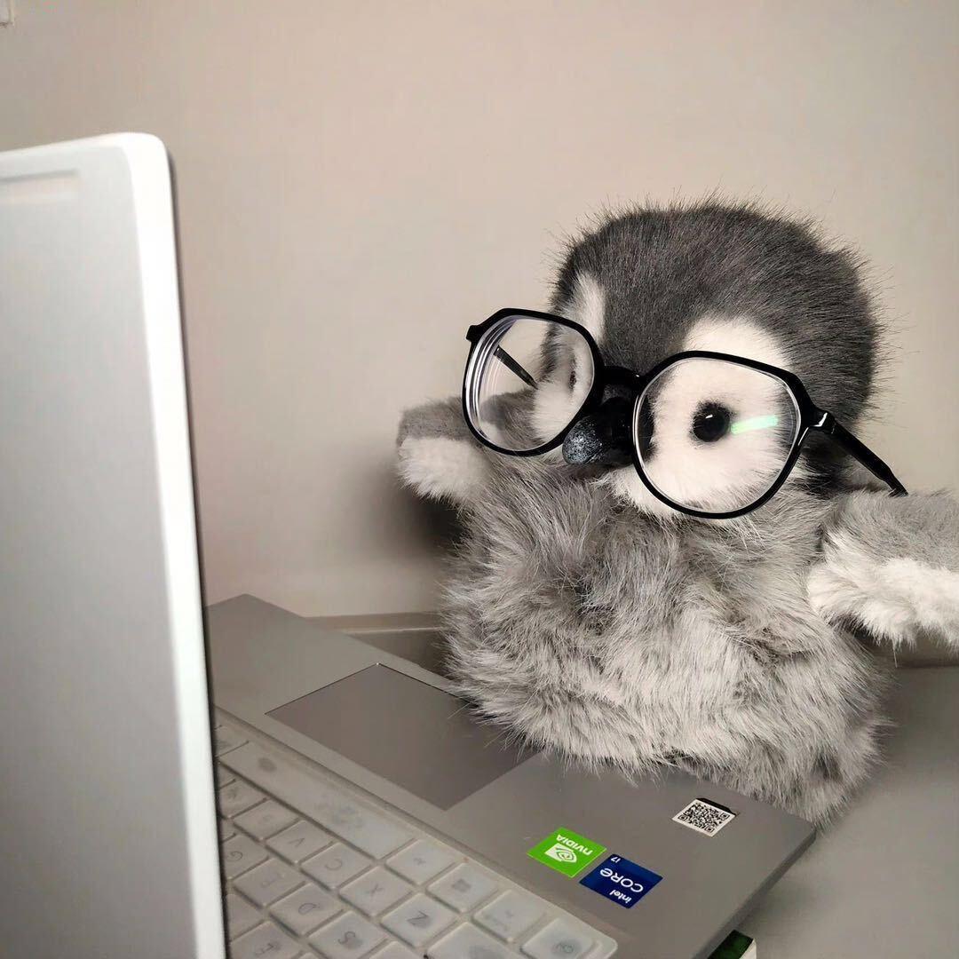 discusser-avatar