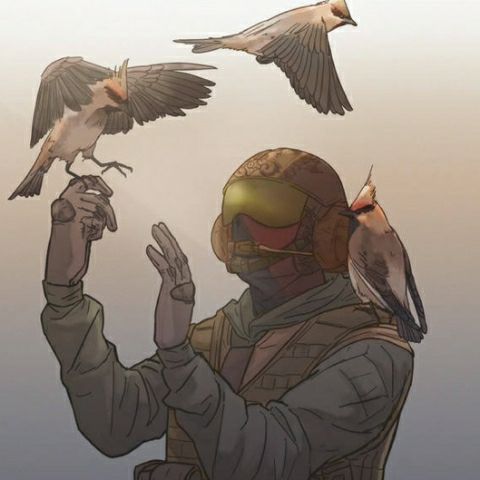 discusser-avatar