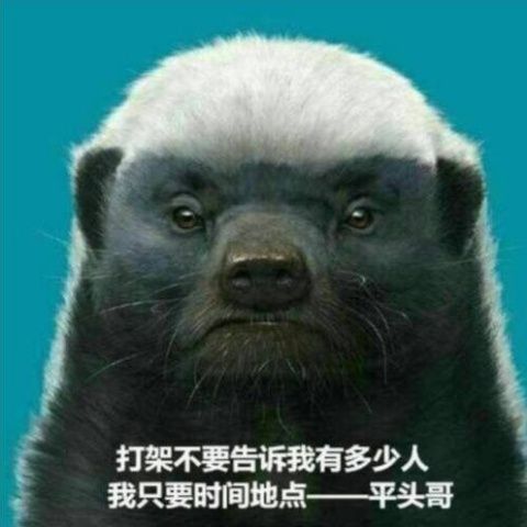 discusser-avatar