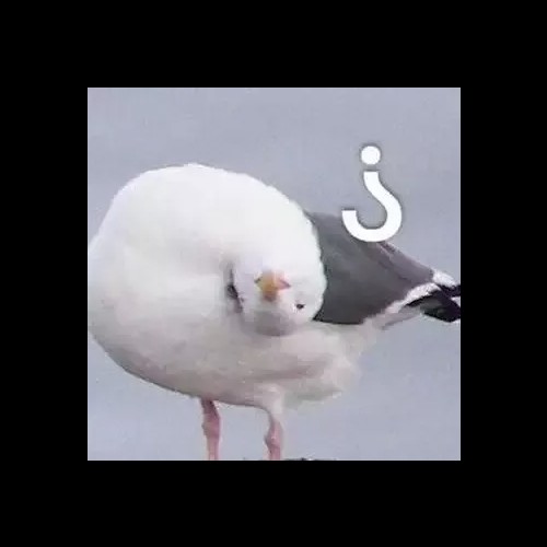 discusser-avatar