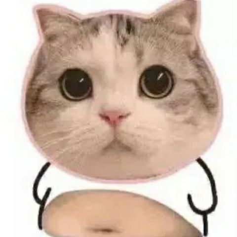 discusser-avatar