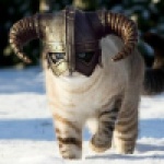 discusser-avatar