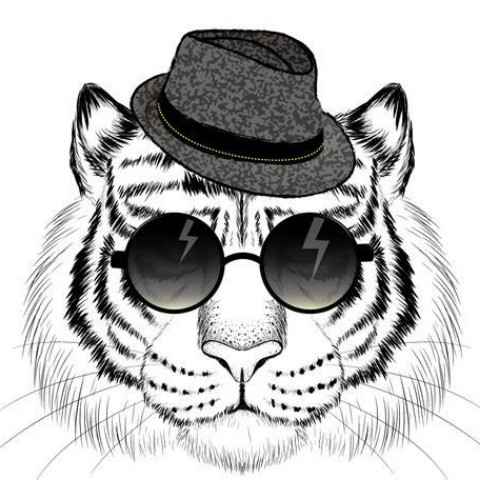 discusser-avatar