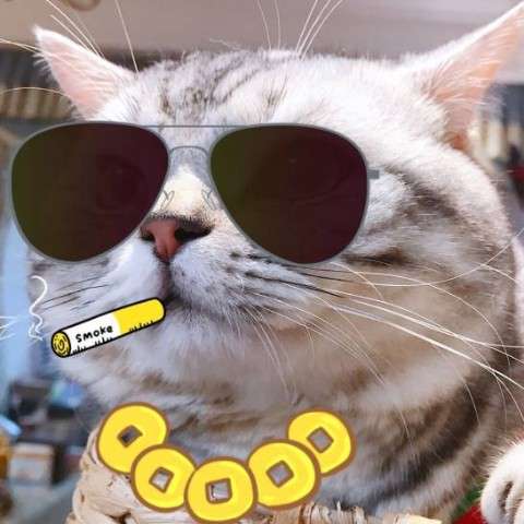 discusser-avatar