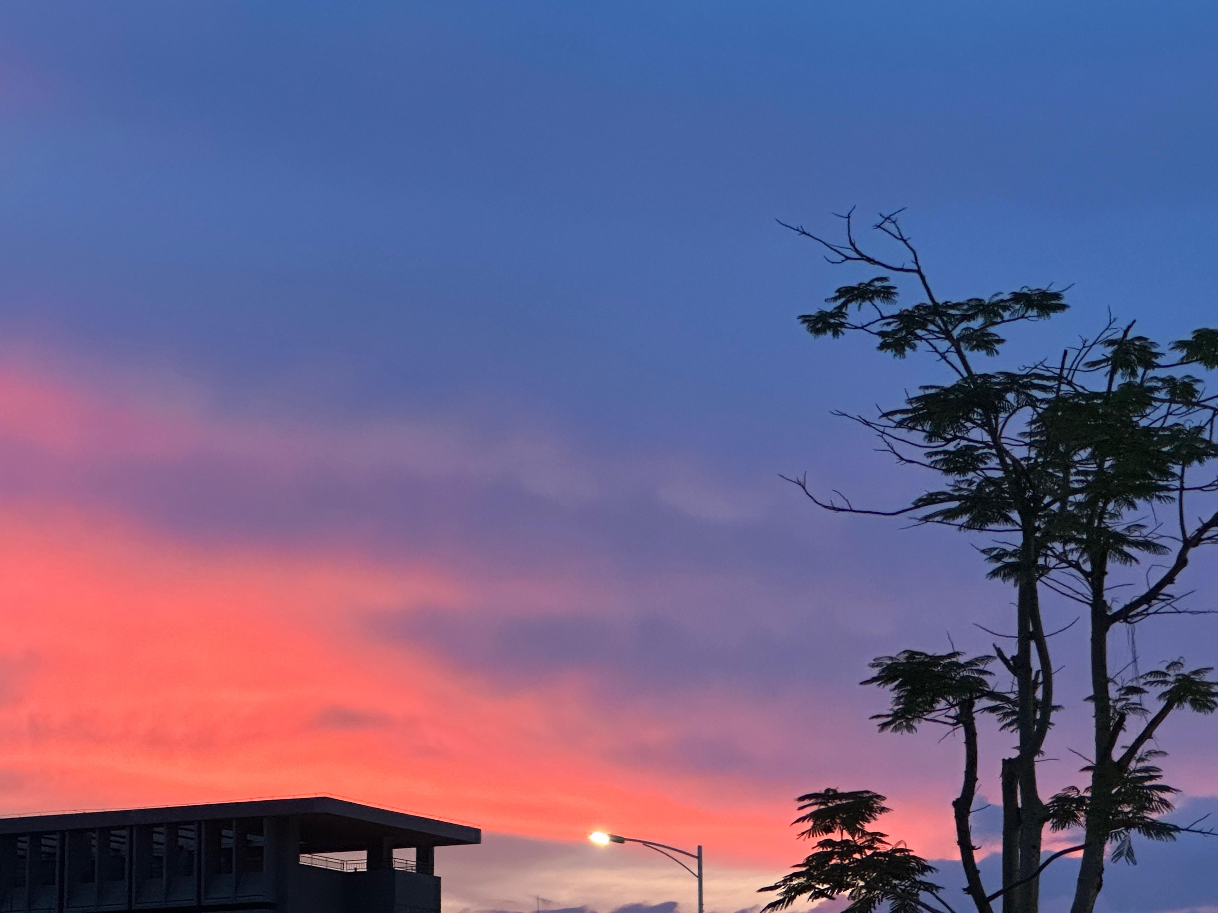 header