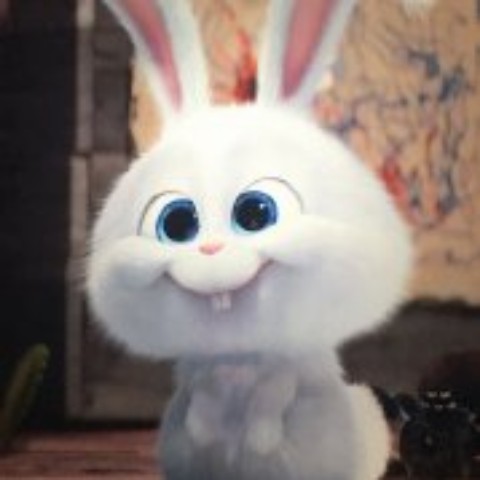 discusser-avatar