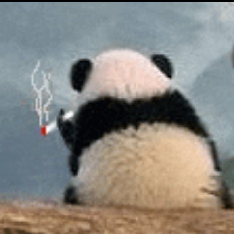 discusser-avatar