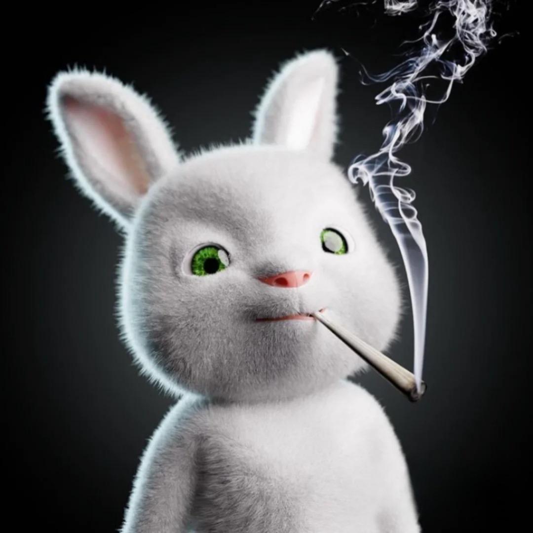 discusser-avatar