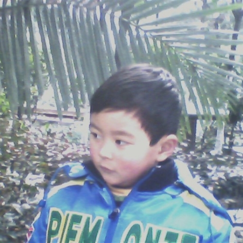 discusser-avatar