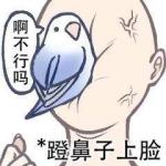 discusser-avatar
