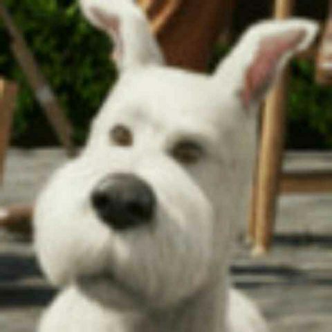 discusser-avatar