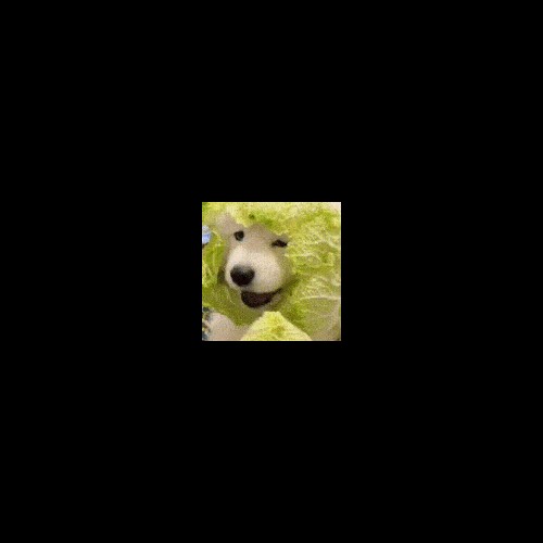 discusser-avatar