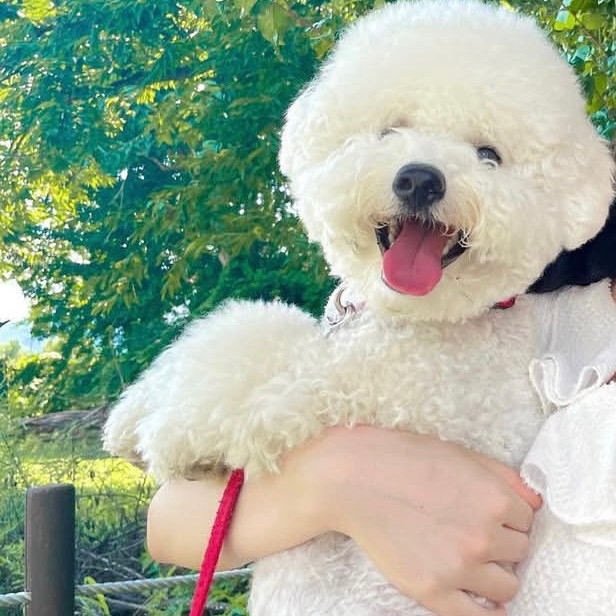discusser-avatar