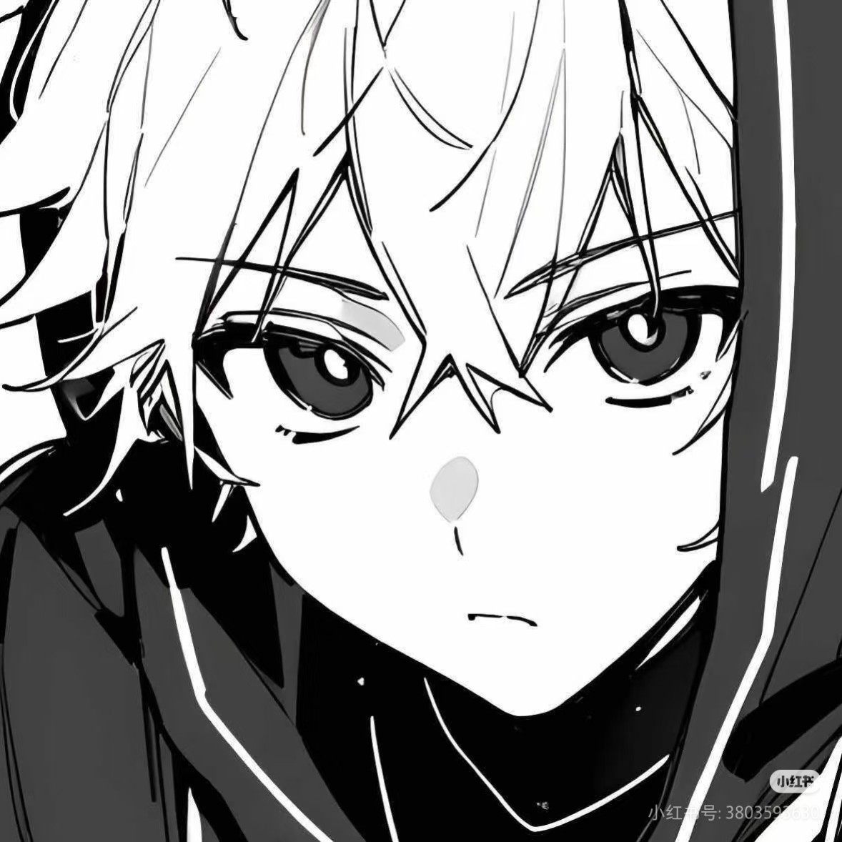 discusser-avatar